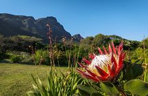 Table Mountain, Kirstenbosch & Constantia Full Day Private Tour