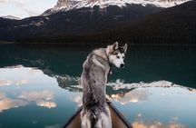 12 Iconic Stops: Banff & Yoho Premium Small Group Guided Tour