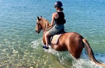 Sea Entry and Pine Forest Horse Riding near Katakolo and Kourouta