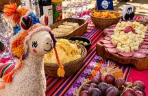 Cajon del Maipo and Embalse El Yeso with Picnic