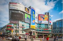 Toronto Private Sightseeing Tour with CN Tower