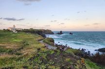 Jeju Private Taxi Tour with English Speaking Guide & Driver