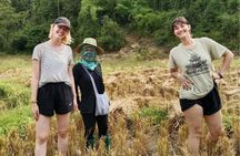 2 Day Chiang Mai Jungle Trek with Hill Tribes and Bamboo Rafting