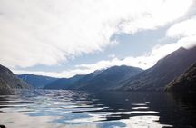 Lake Te Anau: 2-Hour Small-Group Fiordland Discovery Cruise