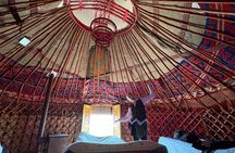 3 Day Horse Tracking to Song Kul Small Group Tour