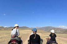 3 Day Horse Tracking to Song Kul Small Group Tour