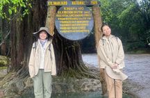 Kilimanjaro 1 Day Hike With Experienced Guide