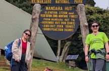 Kilimanjaro 1 Day Hike With Experienced Guide