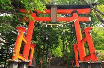 Mount Fuji, Hakone, Owakudani, Chureito Pagoda and Oshino Hakkai