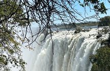 Victoria Falls Cross Border Tour Zimbabwe and Zambia Experience