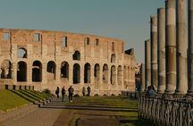 Colosseum and Roman Forum Group Tour