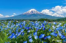 Mount Fuji Full Day Sightseeing Tour from Tokyo