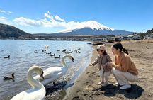 Private Chartered Day Tour to Mount Fuji
