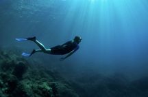 Boat Snorkeling Adventure: Nice-Mala cave-bay of Villefranche