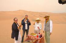 Sandwich Harbour 4 x 4 Tour from Walvis Bay: Cruise Friendly