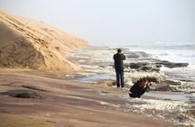 Sandwich Harbour 4 x 4 Tour from Walvis Bay: Cruise Friendly