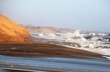 Sandwich Harbour 4 x 4 Tour from Walvis Bay: Cruise Friendly