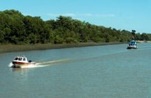 Classic Tigre Delta Tour from Buenos Aires