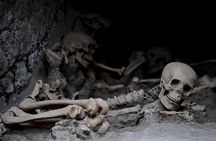 From Naples Herculaneum Skip the Line Guided Tour and Transfer