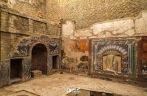 From Naples Herculaneum Skip the Line Guided Tour and Transfer