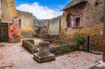 From Naples Herculaneum Skip the Line Guided Tour and Transfer