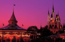 Ticket to Tokyo Disneyland with options