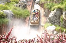 Ticket to Tokyo Disneyland with options