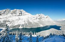 Private Premium Custom Banff Tour Moraine Lake Louise – 10 Spots