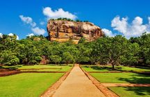 Sigiriya Rock & Dambulla Cave Temple Tour From Bentota , Colombo