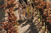 Wine Country Shuttle from San Francisco