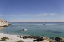 Catamaran Cruise to Dakhla Dragon Island