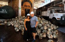 Private Tour to Tequila with Tequila Arette Tasting