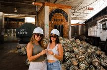 Private Tour to Tequila with Tequila Arette Tasting