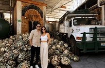 Private Tour to Tequila with Tequila Arette Tasting