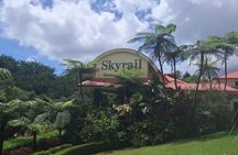 Cairns: Army Duck, Wildlife & Skyrail Rainforest Tour