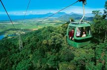 Cairns: Army Duck, Wildlife & Skyrail Rainforest Tour