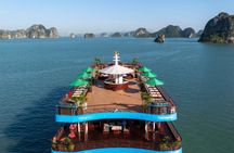 Cycad Cruise - NEW 6 star cruise in Bai Tu Long Bay 2days/1night