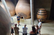 Private Casablanca Valley Wine Tour: 2 Boutique Wineries & Lunch