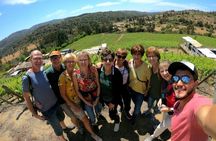 Private Casablanca Valley Wine Tour: 2 Boutique Wineries & Lunch