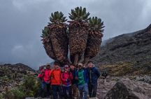 7 Days Mount Kilimanjaro Climb Machame Route