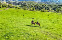 Scenic Horseback Riding Experience in Ile-Alatau National Park