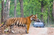 From Delhi : 3-Day Ranthambore Tiger Reserve Safari Tour