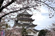 Chiba: Kimono & Tea Ceremony at a Historic Castle Garden