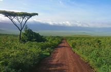 3 Days Serengeti and Ngorongoro Safari Tour