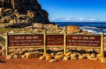 Cape Town: Cape Peninsula, Ostrich Farm & Penguins Tour