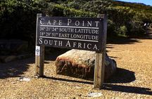 Cape Peninsula Tour: Table Mountain, Cape Point, Penguins
