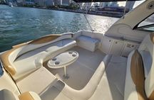 Private Miami Sandbar and Skyline Yacht Experience Up to 13 Guest