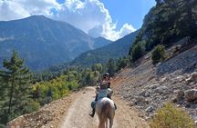 1 or 2 Hours Group Horse Riding in the Forest in Kemer Antalya