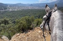 1 or 2 Hours Group Horse Riding in the Forest in Kemer Antalya
