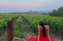 Sardinia: Vineyard Walk & 4-Wine Tasting with Local Food Pairing